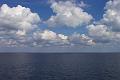 In the sea3